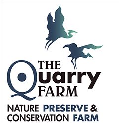 The Quarry Farm:&nbsp;Communications